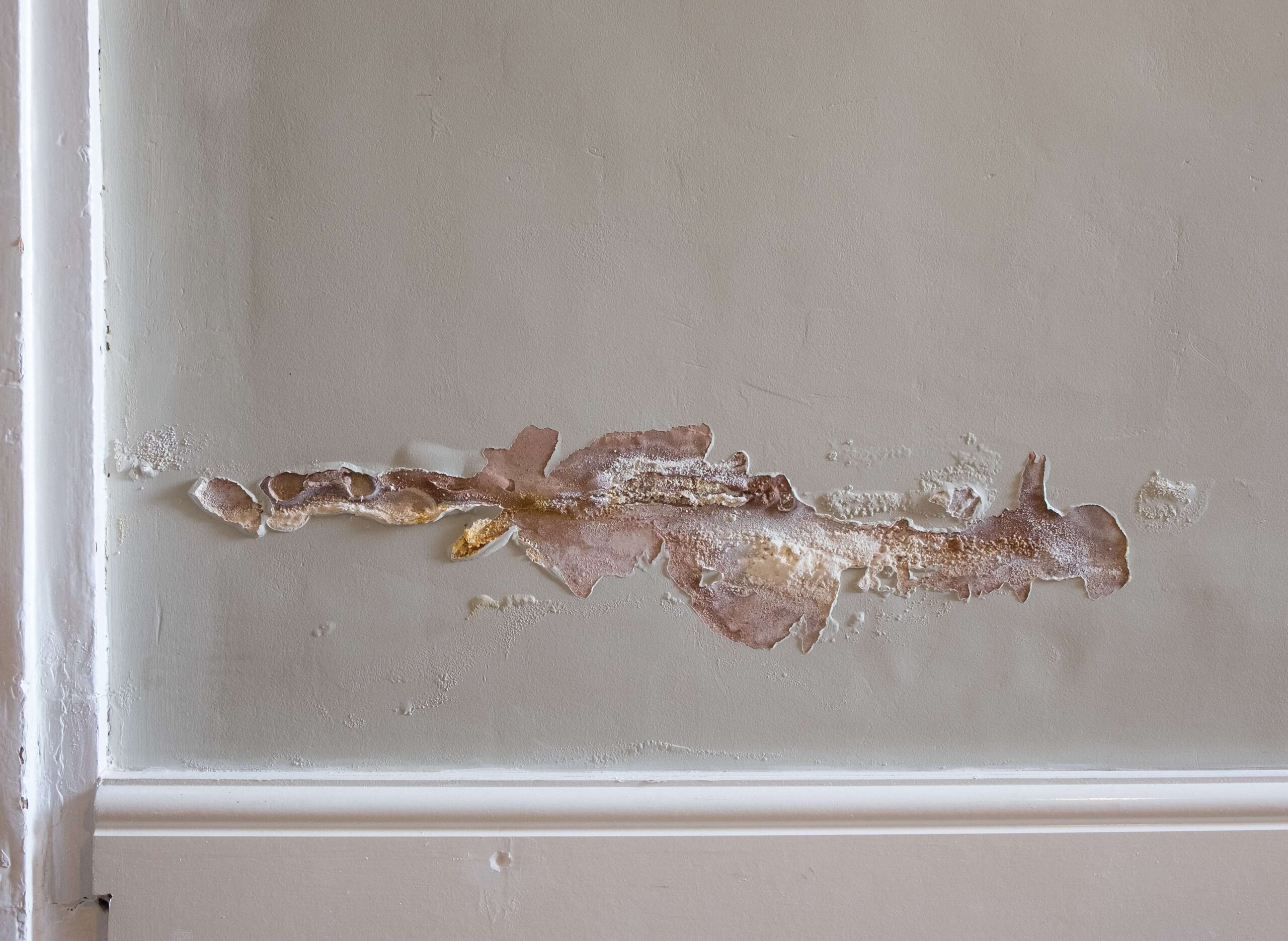 Damaged plaster due to rising damp