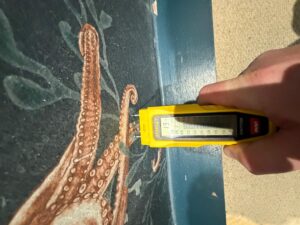 Level 2 Damp Survey in Camberwell (SE5)