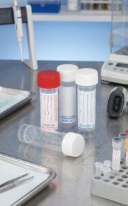 Laboratory Analysis of Plaster Samples