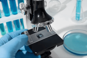 Mould Laboratory Testing & qPCR DNA Analysis