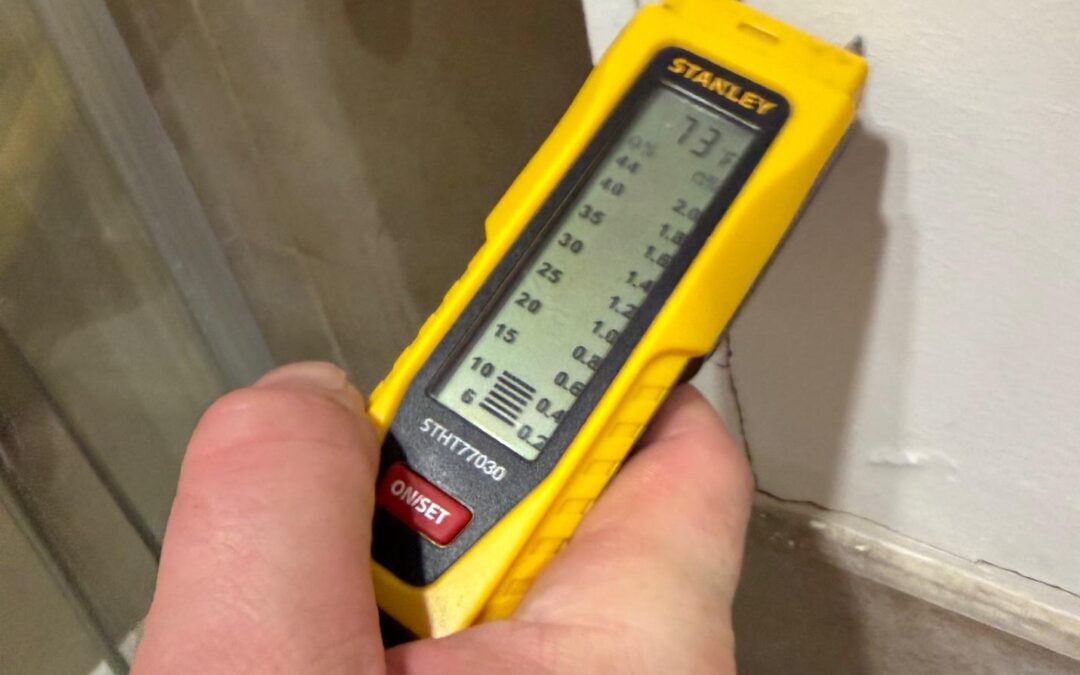 Level 3 Damp Survey in Blackwall (E14)